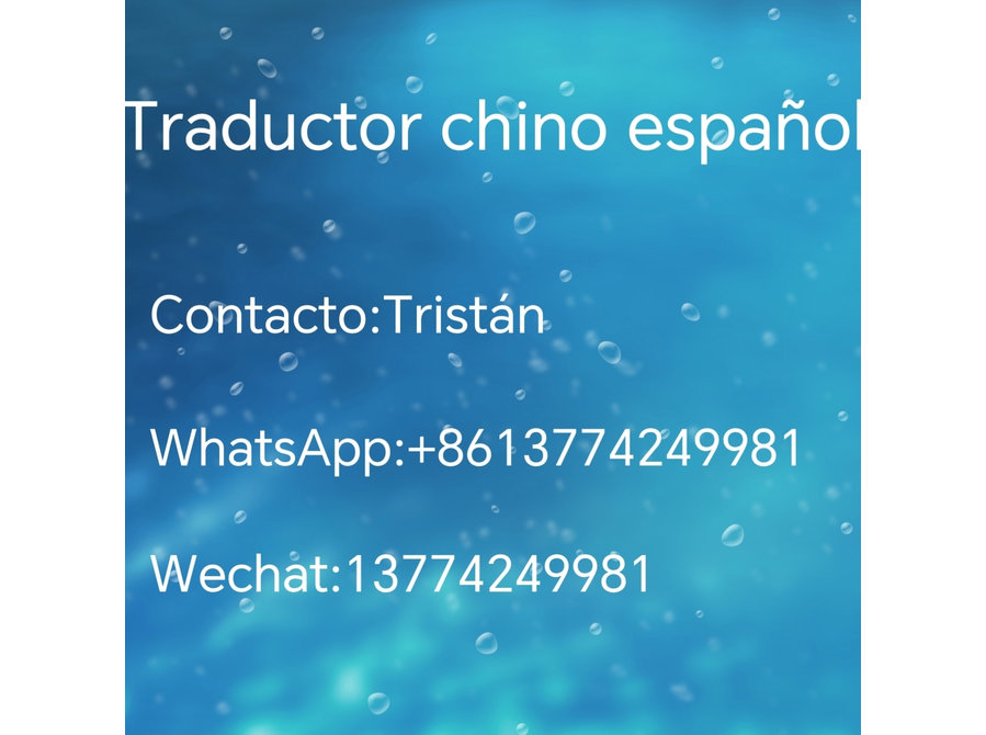 Intérprete traductor del español en Shanghai wuxi yiwu - Traductores